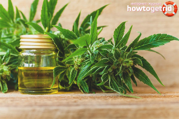 Използването на конопено масло в козметологията