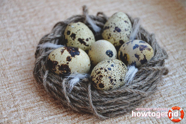 Как да съхранявате пъдпъдъчи яйца