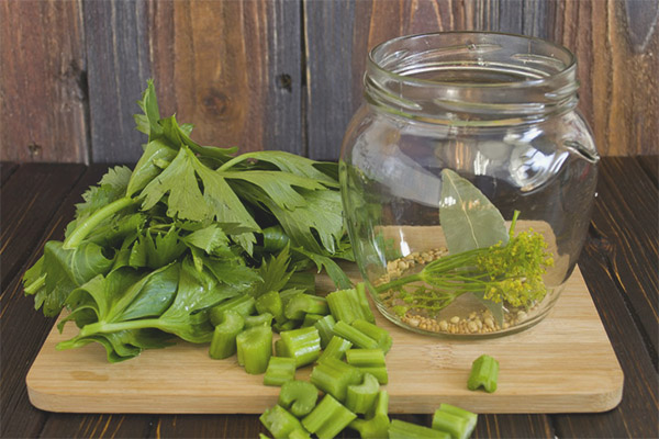 Маринована целина