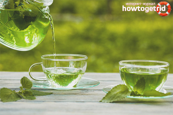 Приготвяне на чай с мелиса