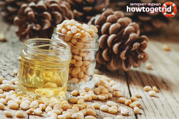 Приемане на кедрово масло за болести