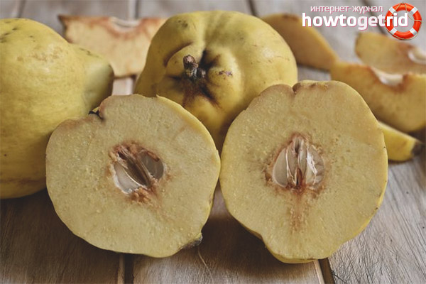 Сушене дюля